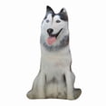 thumbnail image 3 of AuroraX Dog Throw Pillow,Cute Soft Small Plushies with Removable Cover,Personalized Birthday Gifts Home Decor, 3 of 4