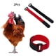 thumbnail image 1 of Los suministros para mascotas evitan el ruido del collar para pollos, patos, gansos, gallos y correas para el cuello, 1 of 5