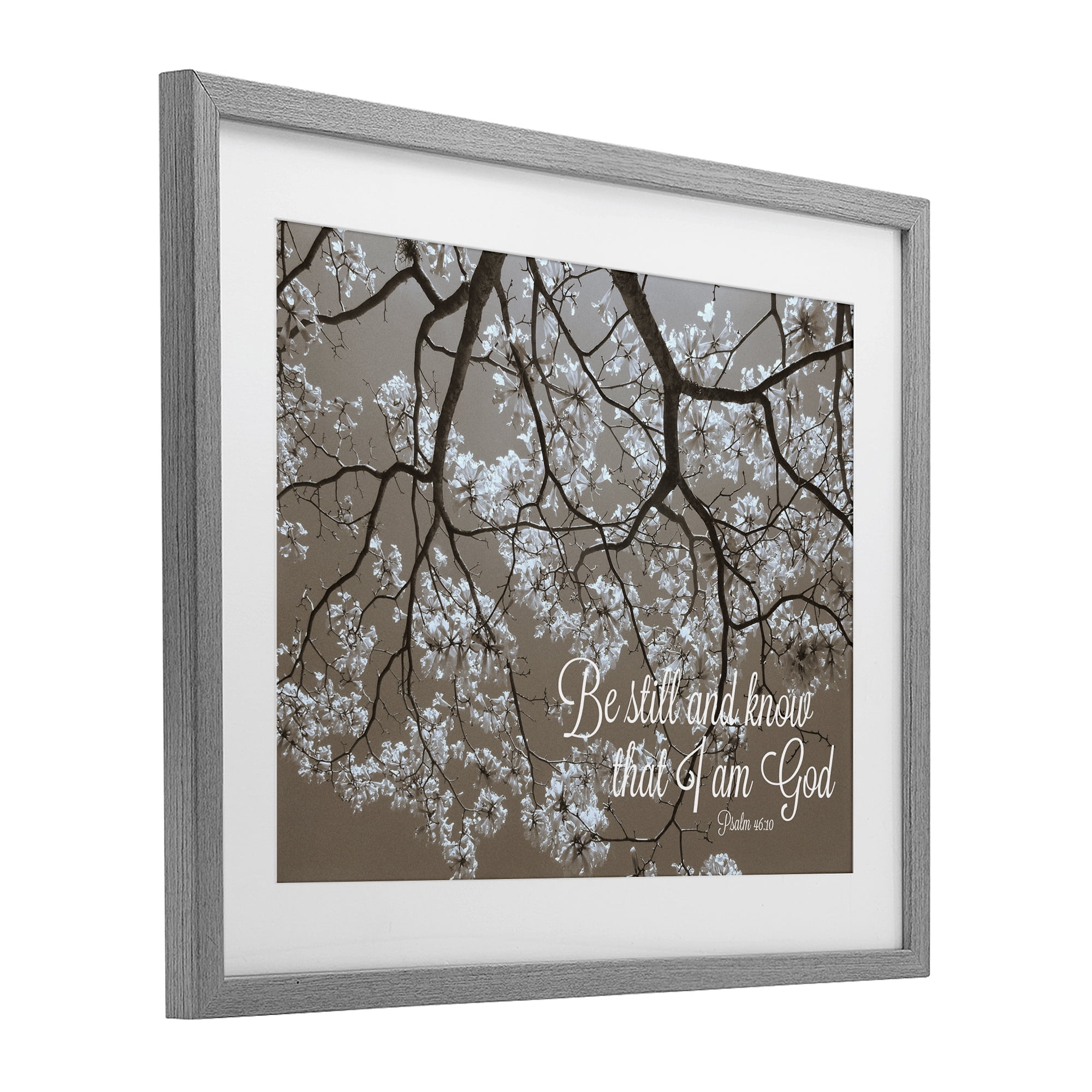 Stupell Industries Be Still Apple Blossoms Gray Framed Print Under Glass, design by Gail Peck