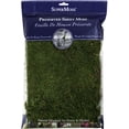 thumbnail image 1 of supermusgo SuperMoss  FS21550, 1 of 1