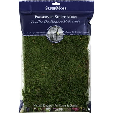 SuperMoss Preserved Sheet Moss 2oz-Green