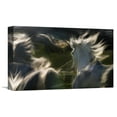 thumbnail image 1 of Global Gallery Milan Malovrh,'Esata Equina' Stretched Canvas Artwork, 1 of 3