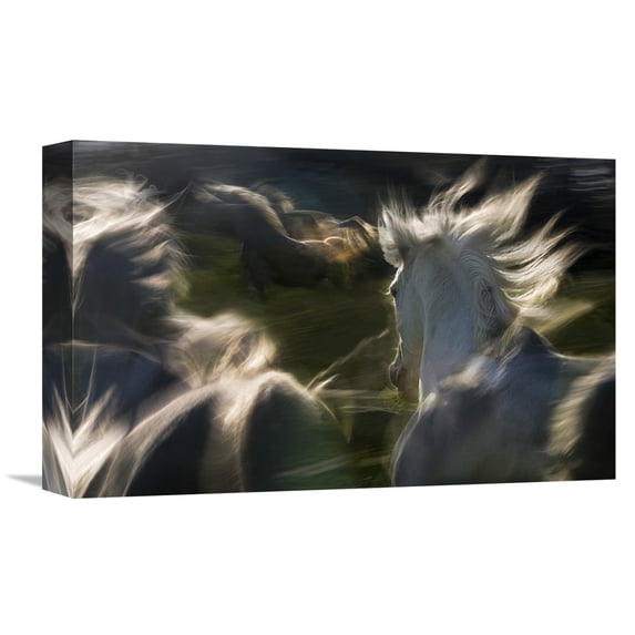 Global Gallery Milan Malovrh,'Esata Equina' Stretched Canvas Artwork