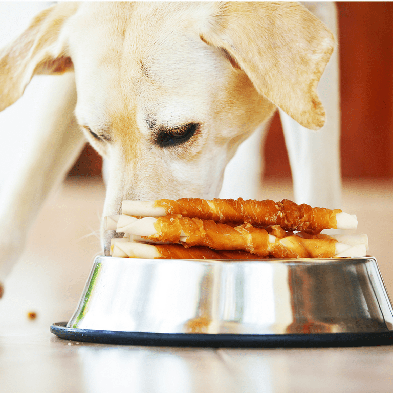 Best dog top treats for rottweilers