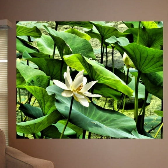 Wallhogs Batie Pond Flower Poster Wall Mural