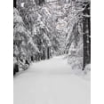 thumbnail image 2 of Art.com Path Through a Forest in Winter Photographic Print by Marcus Lange, 18" x 24", 2 of 4