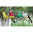 thumbnail image 2 of Pack De 4 Figurillas De Pájaros Emplumados Artificiales, Estatua De Animales De Aves Para Decoración Interior Y Exterior Cola Figuras de pájaros al aire libre, 2 of 8
