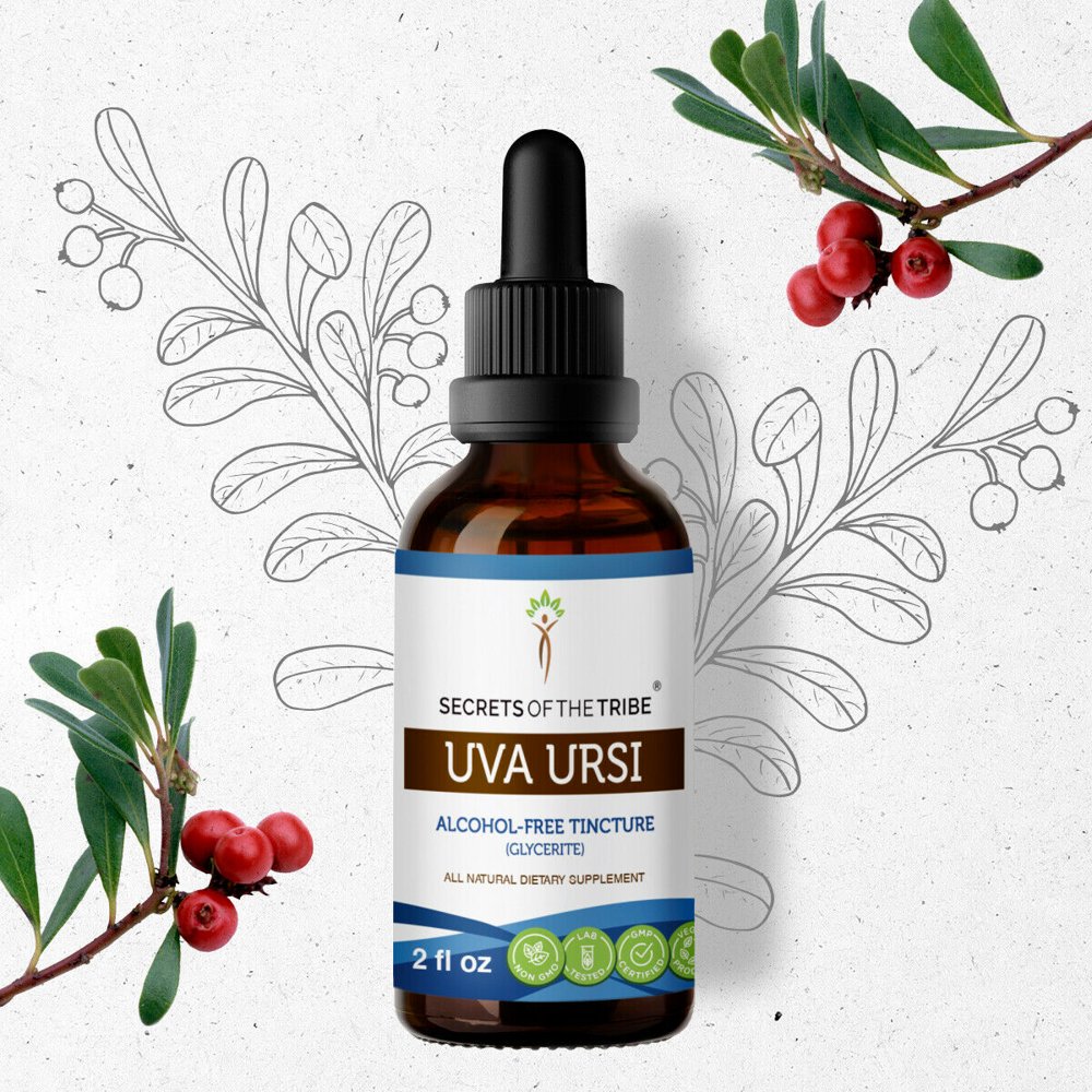 Uva Ursi Tincture AlcoholFREE Extract, Organic Uva Ursi Arctostaphylos