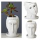 thumbnail image 1 of 2 Piezas Cara Cabeza Estatua Maceta Jardín Planta Maceta Adorno Decoración Cola Plantador de cabeza, 1 of 8