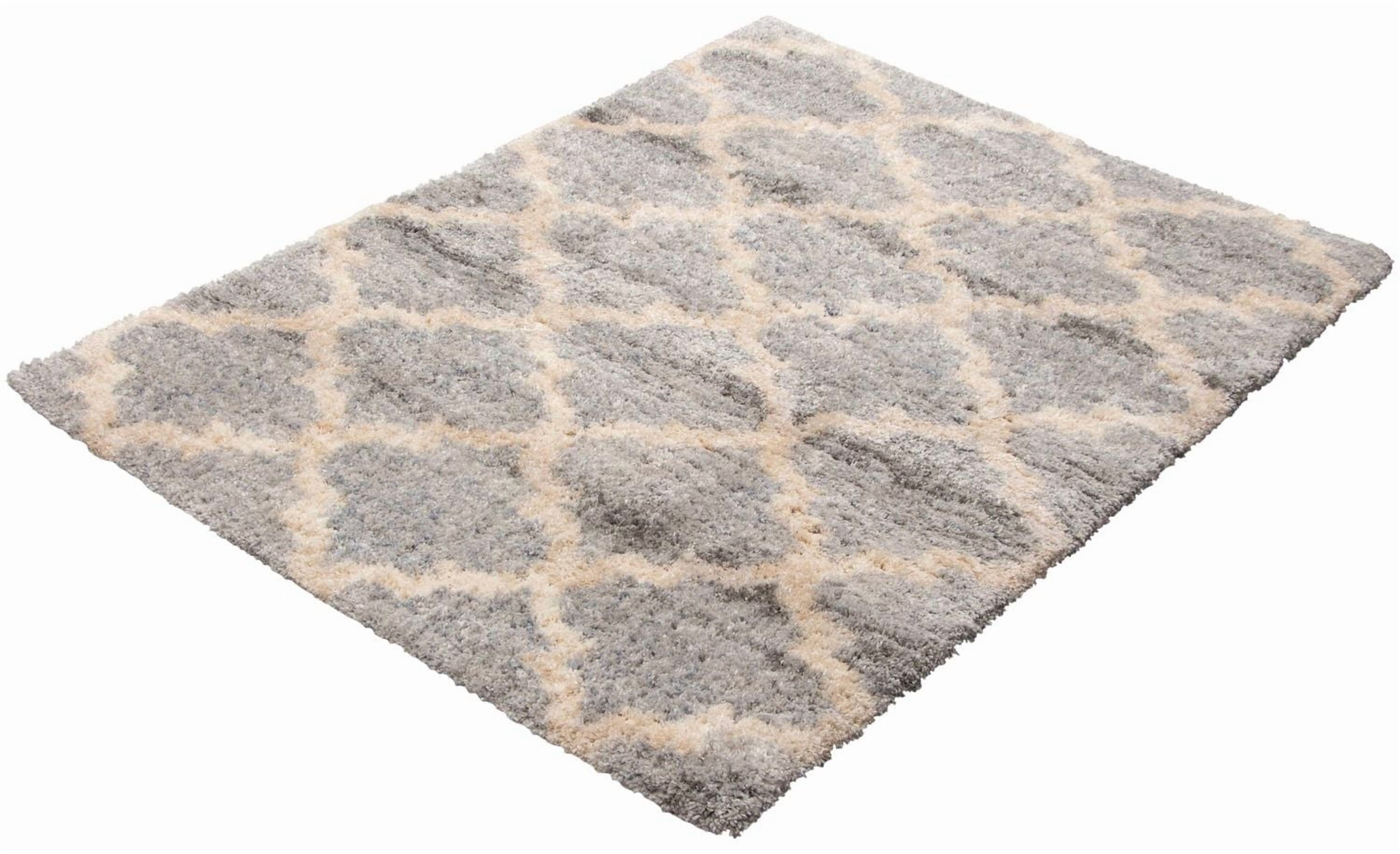 ECARPET Trellis Frieze Area Rug Fluffy Carpet for Bedroom, Ultra Soft & Plush Annica Collection
