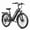 Black, variant on Aipas C1 Max 24" Electric Mountain Bike,500W Peak Motor, 48V 18Ah Removable Battery, 500LB Capacity, SGS UL 2849 Certification, Class 3