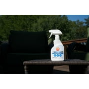 303 Aerospace Protectant - Provides Superior UV Protection, Helps Prevent Fading and Cracking, Repels Dust, Lint, and Staining, Restores Lost Color and Luster, 10oz (30307CSR)