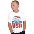 thumbnail image 3 of Street Fighter American Guile USA Boys Kids T Shirt Tees Tops Teen Brisco Brands M, 3 of 6