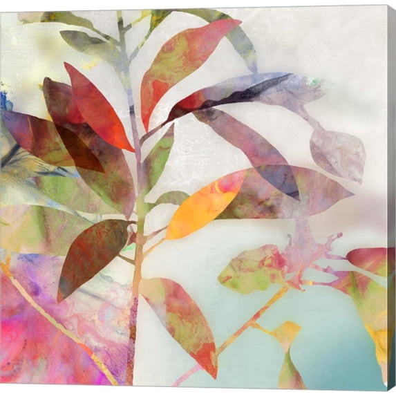 Great Art Now Charlotte I by Asia Jensen Canvas Wall Art