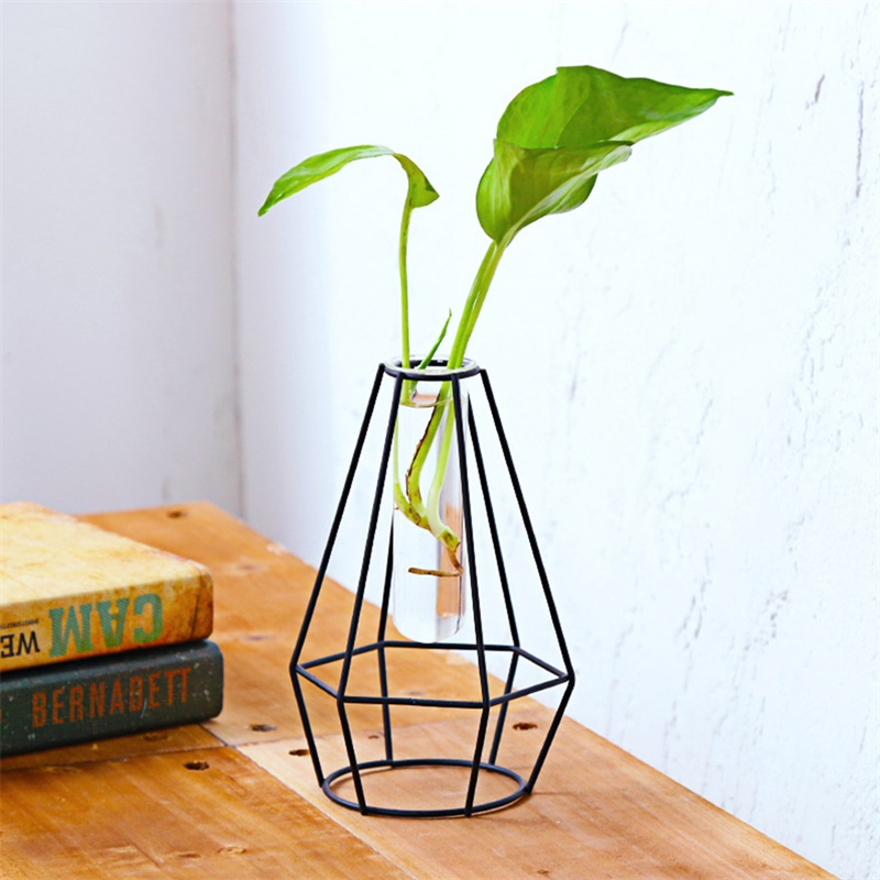 Geometric Metal Wire Vase Rack, Hydroponic Plant Transparent Test Tube
