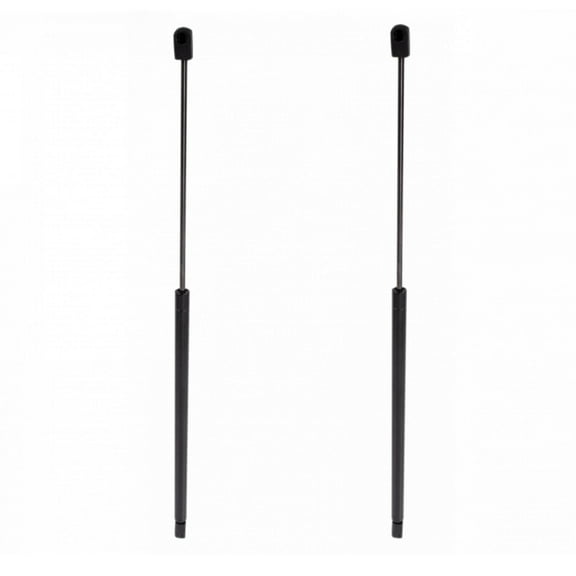 TRQ Rear Window Glass Lift Support Set For 02-09 Chevy Trailblazer GMC Envoy GSA08965 Fits select: 2002-2009 CHEVROLET TRAILBLAZER, 2004-2007 BUICK RAINIER