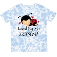 thumbnail image 3 of Inktastic Loved by Grandma Ladybug Boys or Girls Toddler T-Shirt, 3 of 5