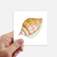 thumbnail image 1 of Colorful Snail Marine Life Illustration Sticker Square Waterproof Stickers Wallpaper Car Decal, 1 of 1