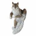 thumbnail image 6 of CLIMBING "CHIP" SQUIRREL DECOR, 6 of 10