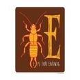 thumbnail image 2 of Marrott, Stephanie 15x18 White Modern Wood Framed Museum Art Print Titled - E is For Earwig, 2 of 4