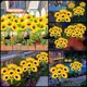 thumbnail image 5 of Solar LED Sunflower Garden Lights 27.56in, 5 of 6