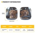 thumbnail image 5 of Bulopur Labrador Dog Car Windshield Sun Shade Sun Protection Auto Sun Shades Front Windshield Easy to Install Window Sun Blocker Sun Visor Protector 2 Pack Protector for Most Cars, 5 of 6