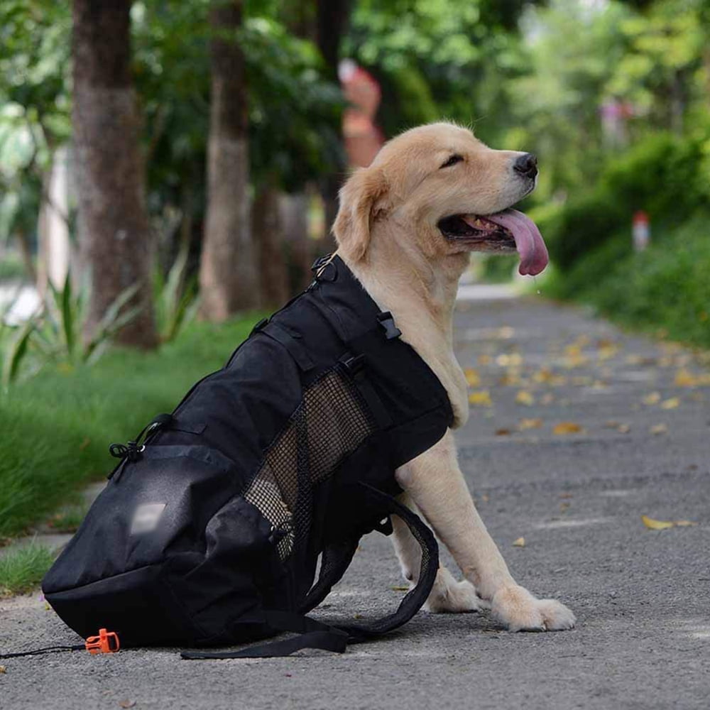 Dog Carrier Backpack with Helmet Legs Out Facing Adjustable Dog Backpack Carrier Dog Travel Bag for Walking Hiking and Motorcycle M BLACK