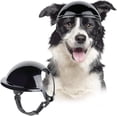 thumbnail image 4 of Dog Sunglasses And Helmet For Small Breed, Uv Protection Small Dog Goggles, Wind Proof Dog Motorcycle Helmet With Earhole, 4 of 5