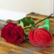 thumbnail image 3 of Plush Rose Flower Bendable Stems Colorful Stuffed Rose Flower Toy Durable Roses Plush Bouquet Toy Rose Soft Flower Toys Gift For Kids Baby Girl Toddle, 3 of 5