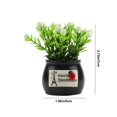 thumbnail image 3 of HSQJHJF Hot Selling Simulation Flower Plant Fruit Potted Car Perfume Seat Perfume Flower Pot Decoration, 3 of 6