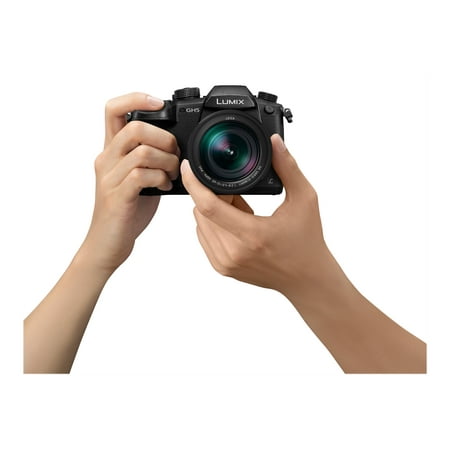 Panasonic - LUMIX GH5 Mirrorless 4K Photo Digital Camera Body with LEICA DG 12-60mm F2.8-4.0 Lens - DC-GH5LK - Black