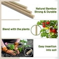 thumbnail image 4 of Triani Plant Stakes, 18 Inches Natural Garden Bamboo Sticks, 20Pcs Plant Support Stakes for Tomatoes,Beans,Vegetable and Potted Plants, 4 of 7