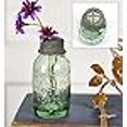 thumbnail image 3 of CTW Home Collection Petit Pot Mason avec Grenouille Fleur, 3 of 3