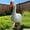 04-13.8", variant on Win s Way Classic Porch Goose Statue,7/12/14 Inch Weather Resistant White Garden Figurine with Weighted Base for Yard Patio