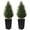 Black, variant on OLIVIVI Artificial Cedar Tree 4FT Tall Faux Silk Plant for Home Office Decor Indoor Outdoor Fake Lifelike Potted Tree with Wood Branches 2 pack