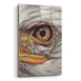 thumbnail image 2 of Epic Art 'Eye-Catching Bald Eagle' by Barbara Keith, Acrylic Glass Wall Art, 24"x36", 2 of 8