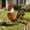 Multicolor_New#5888, variant on Iron Rooster Garden Statue Outdoor Yard Decor – Metal Stereoscopic Chicken Ornament for Lawn, Patio, Courtyard or Indoor Farmhouse Decoration