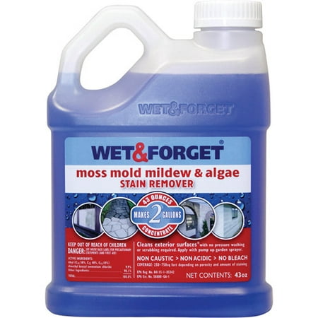 forget wet mold stain remover moss algae mildew walmart
