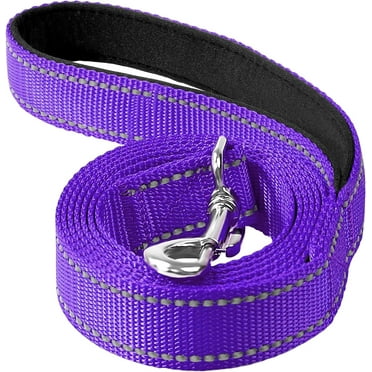 6ft Dog Leash for Small Medium Large Dogs | One-Sided Reflective Nylon | Padded Handle | 3/4 inch Wide | Purple