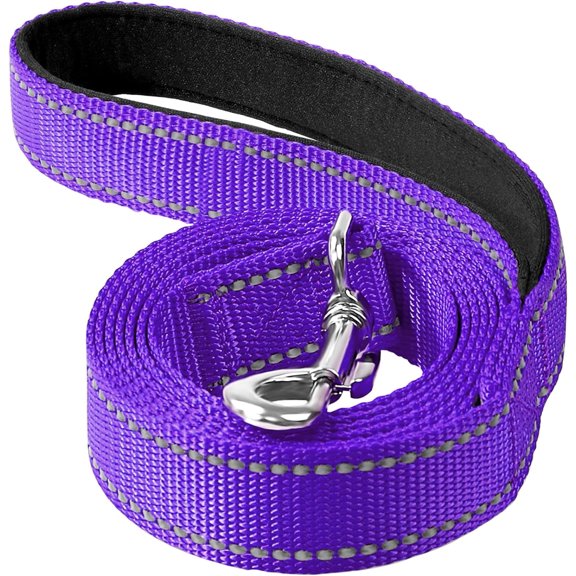 6ft Dog Leash for Small Medium Large Dogs | One-Sided Reflective Nylon | Padded Handle | 3/4 inch Wide | Purple