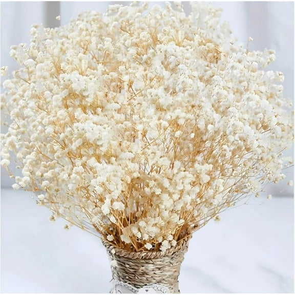 Natural Gypsophila Branches,Dried Gypsophila Flowers Bulk,Beige Dried Flower Bouquet,Wedding,Table Centerpiece,Home Decor,DIY Wreath Floral,Crafts
