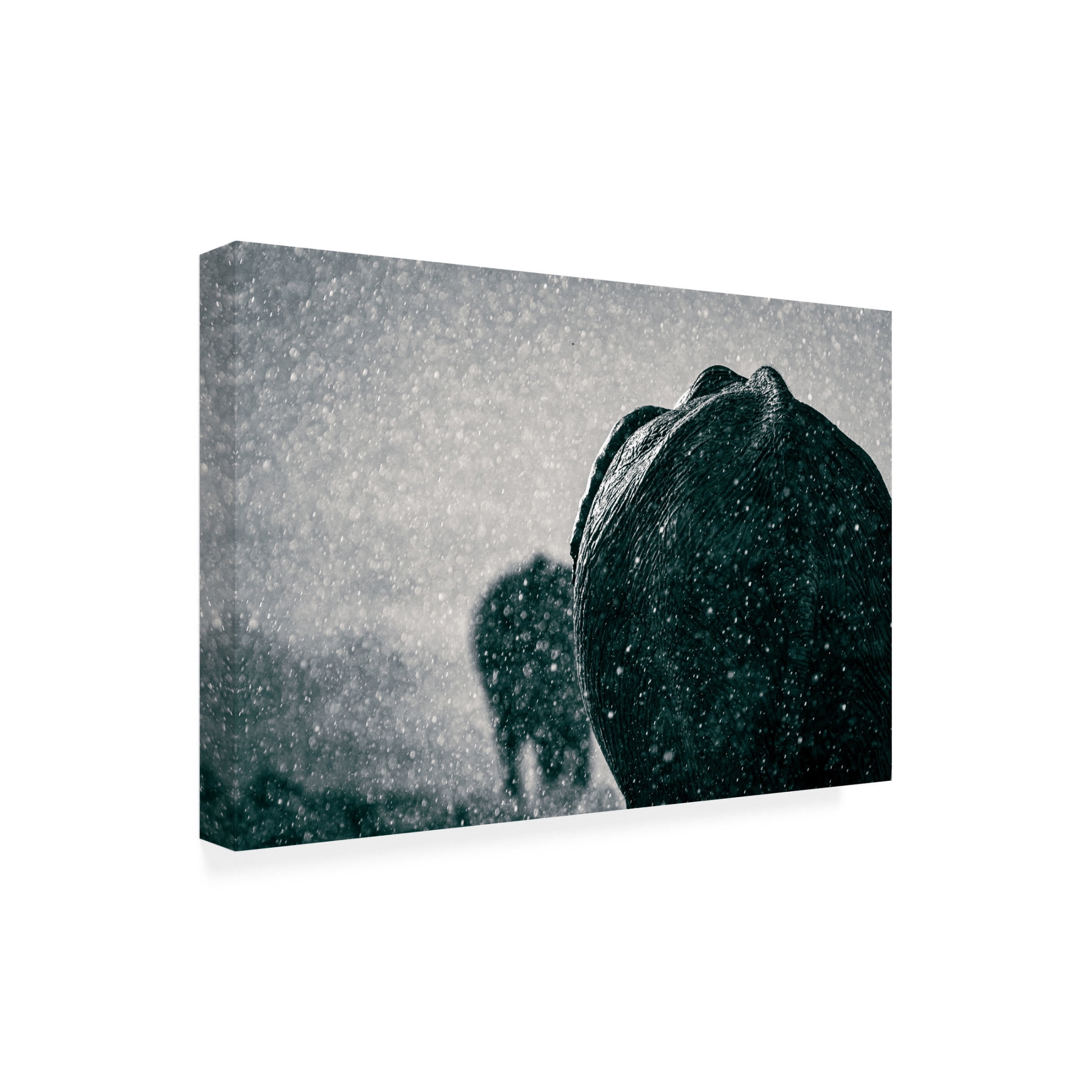 Trademark Fine Art Mike Taylor Rainy Season Canvas Wall Art