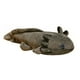 thumbnail image 4 of Muñeco de peluche Axolotl abrazable para decoración de habitación infantil, peluche Axolotl de 17.72 pulgadas Gris, 4 of 9