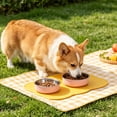 thumbnail image 4 of Leodye 1PCS Rectangular Silicone Pet Feeding Mat, Anti-spill Anti-slip Slow Feeder Placemat fors s, Easy to Wipe Clean -17.32x10.63x0.39in, 4 of 6
