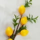 thumbnail image 4 of Kearding Rama de limón artificial decorativa ABS de 6 piezas para decoración de balcón y jardín Patrones claros y brillantes Decoración del hogar verde, 4 of 6