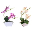 thumbnail image 1 of 2 Piezas de de Mariposa Artificial Bonsai Flor de Imitación Decoración Floral con Jarrón Púrpura + blanco, 1 of 8
