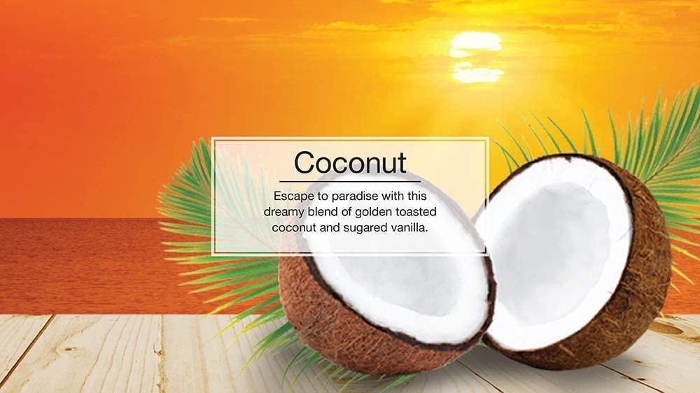 Little Trees 60317 Coconut Scent Hanging Air Freshener for Car & Home 144 Pack!