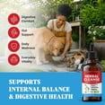 thumbnail image 6 of Herbal Cleanse for Dogs & Cats – Natural Intestinal Defense with Wormwood & Black Walnut – Herbal Gut Cleanse Liquid for Digestive Wellness & Gut Balance – Advanced Broad Spectrum Formula – 2 oz, 6 of 8