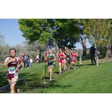 LAMINATED POSTER Runner Course Running Race Cross Country Poster Print 11 x