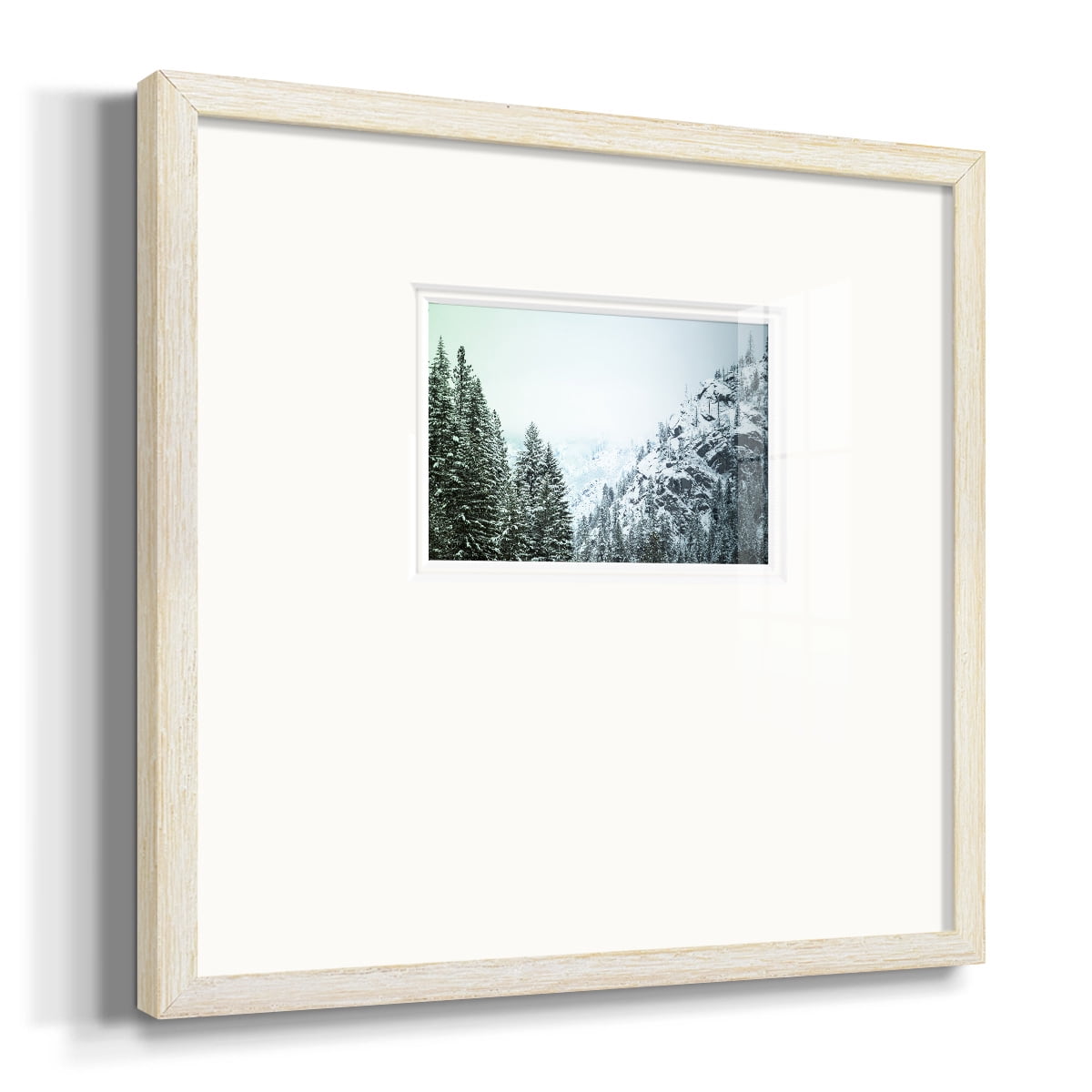 Snowfall in Cascadia II V1Premium Framed Print